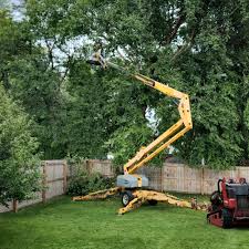 Artificial Turf Installation in Rockton, IL